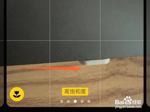 iPhone拍照在哪调整为高对比度模式