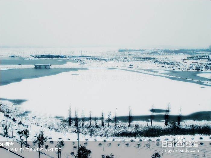 【新生指南】武科大Part6:【电脑必学贴】