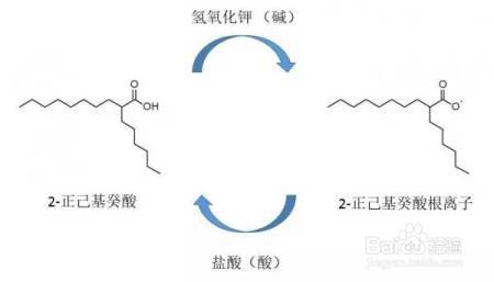 如何使用化学方法走出迷宫