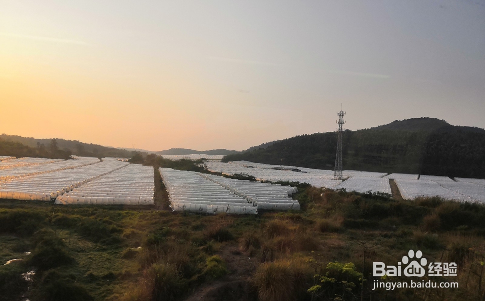 海口东站乘坐指南