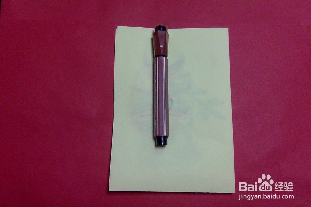 简笔画怎么画鸡冠花的画法简单儿童启蒙绘画花朵