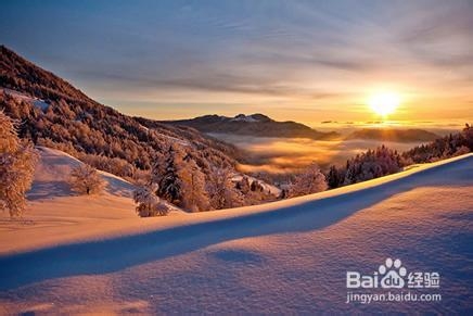 如何领悟一部电影