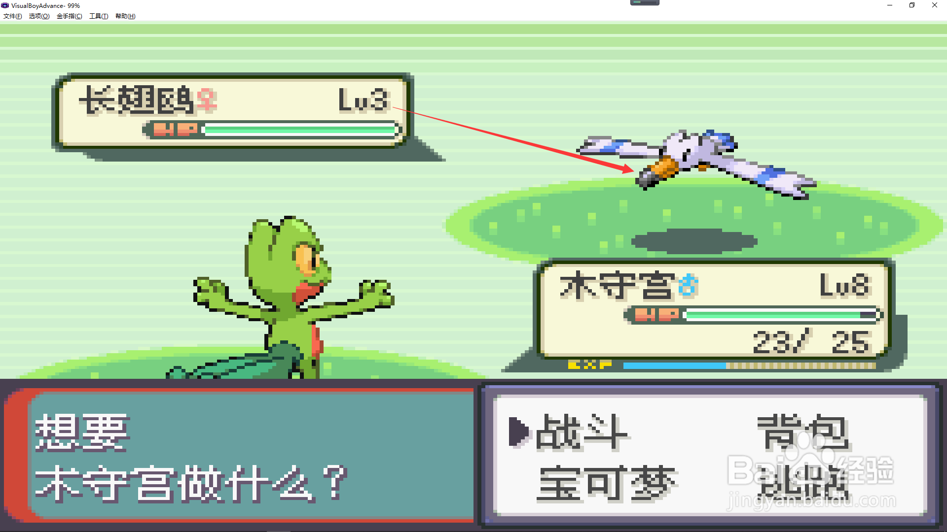 口袋妖怪绿宝石长翅鸥在哪里抓