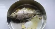 一锅鲜的做法