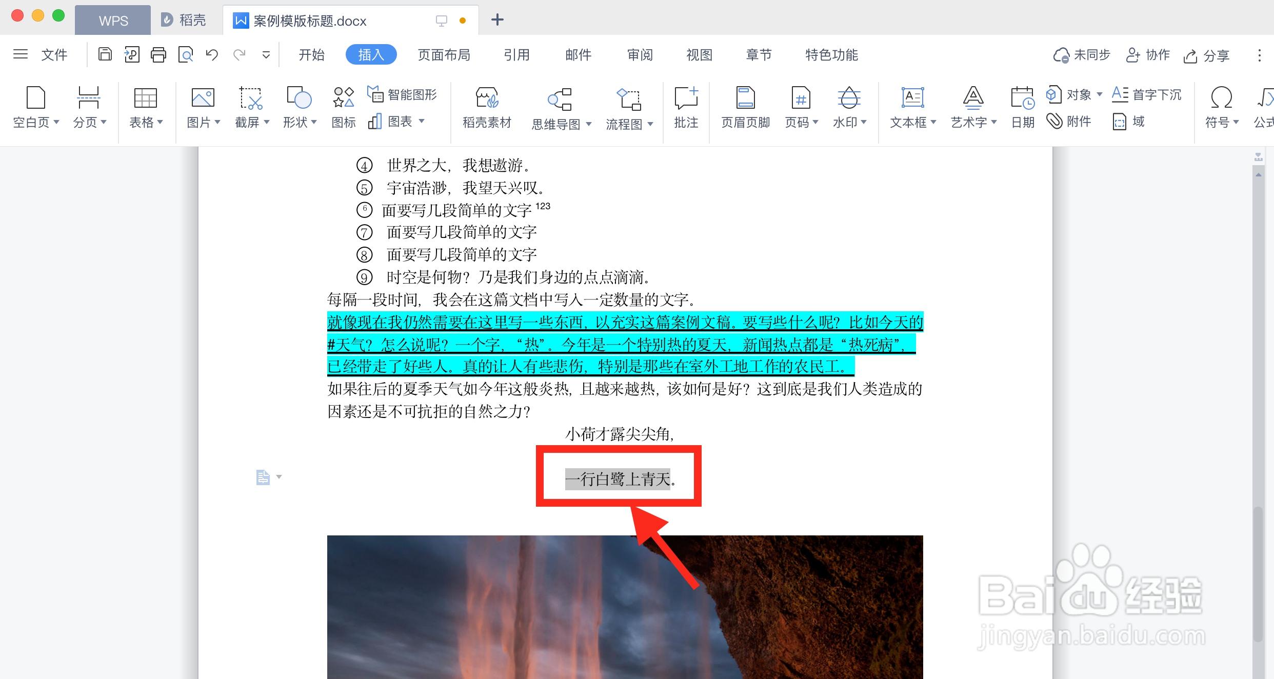 WPS文档如何给汉字标注拼音字母