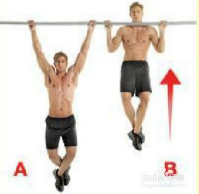 增肌速成：[2]如何有效锻炼背阔肌