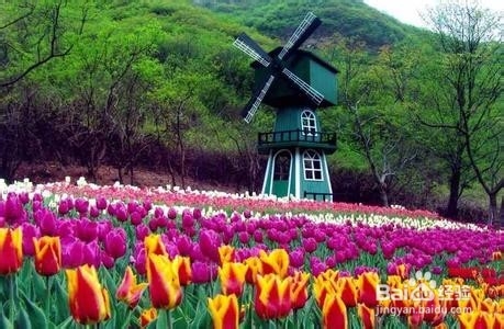 济南红叶谷景区旅行贴士