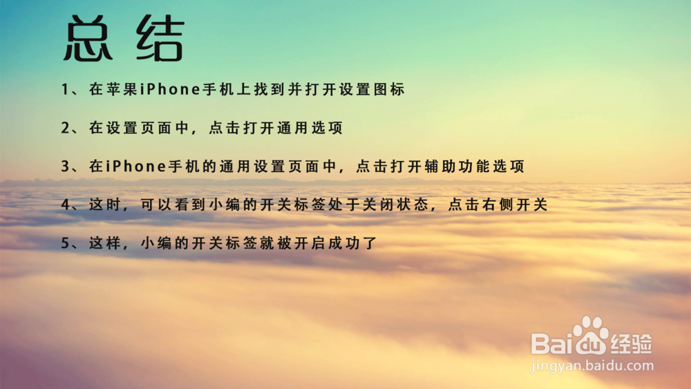 苹果iPhone手机怎么打开开关标签？