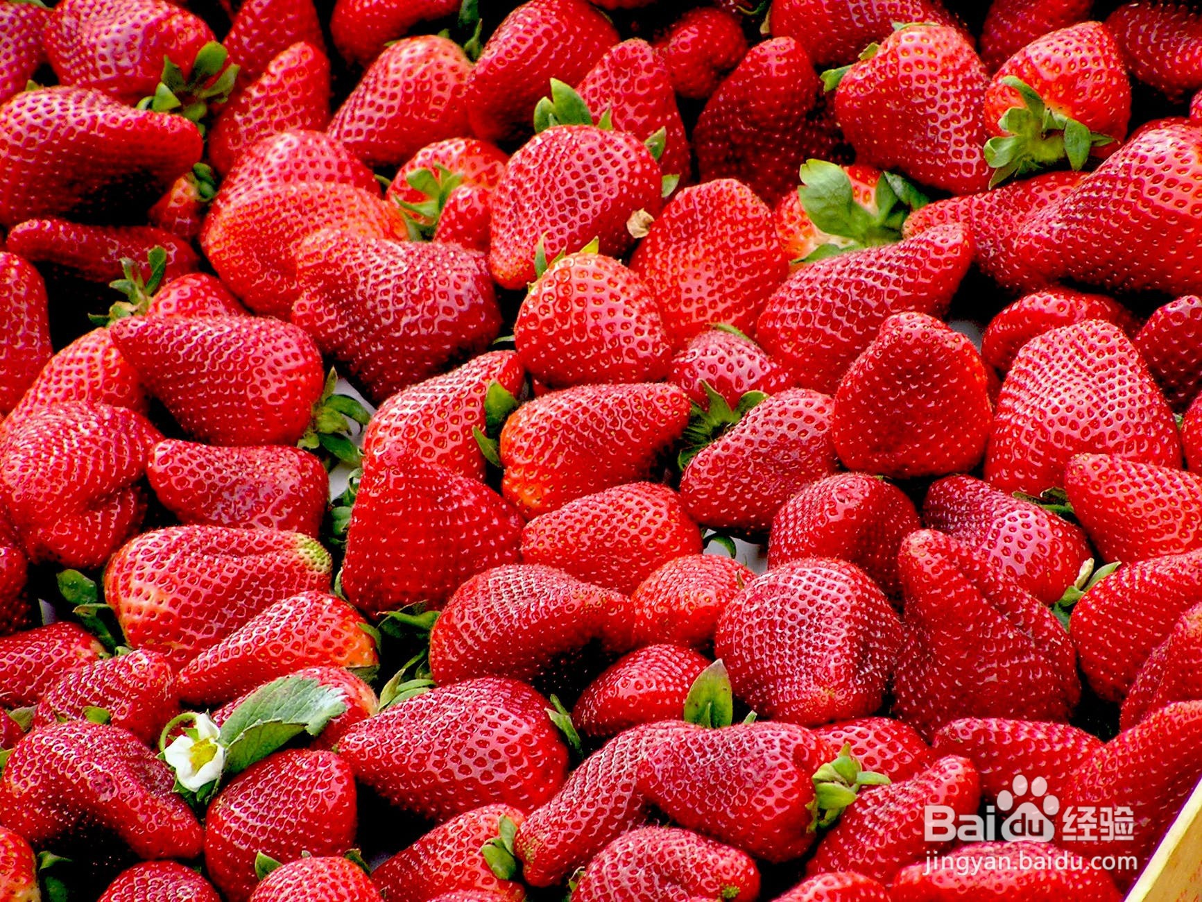 吃什么美白皮肤最快?