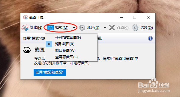 电脑截图怎么截