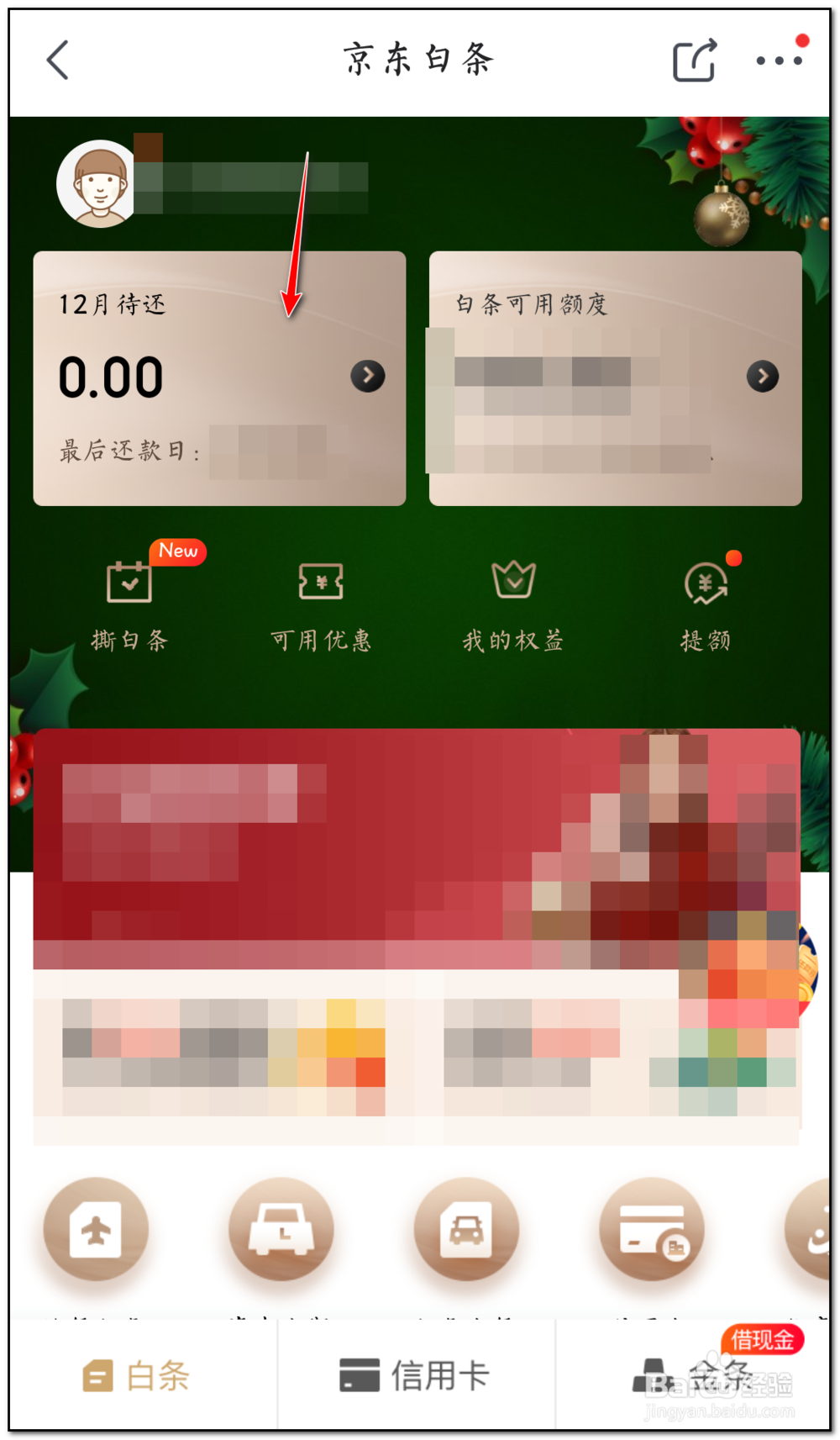 如何查看京东白条的全部账单