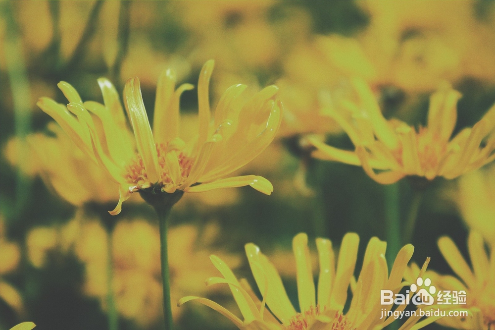 6条写作建议，帮助你写出更好的文章