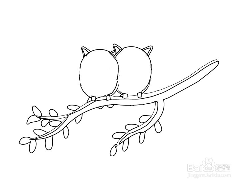 卡通猫头鹰情侣简笔画