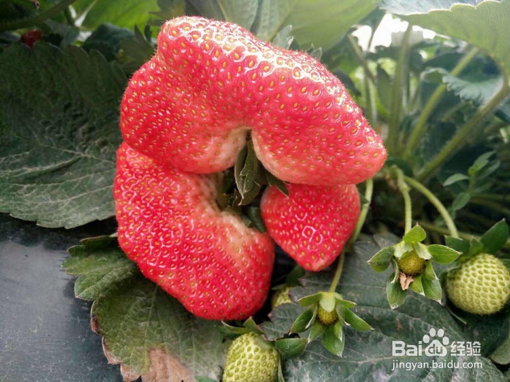 经常对你说这些情话的，说明已经爱你入骨?