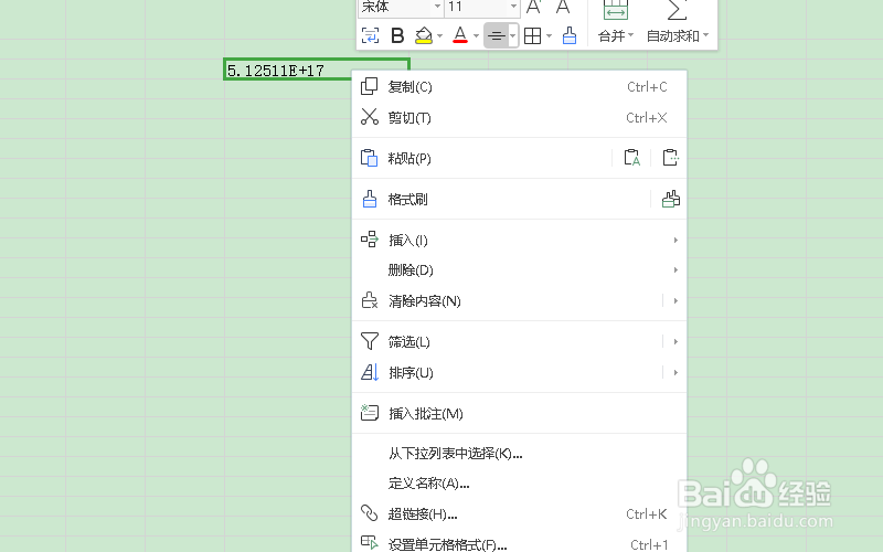 wps表格数字变成e+17