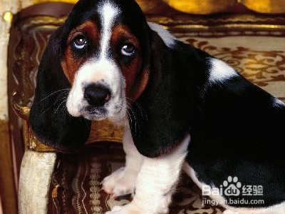 恐怖的意外得病——读后总结预防经验