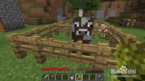 我的世界怎么养牛 百度经验
