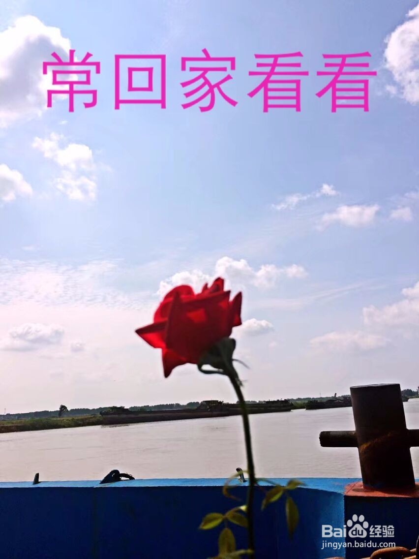 母亲节怎么向妈妈表达自己的爱