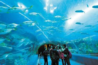 珠海浪漫之都旅游攻略