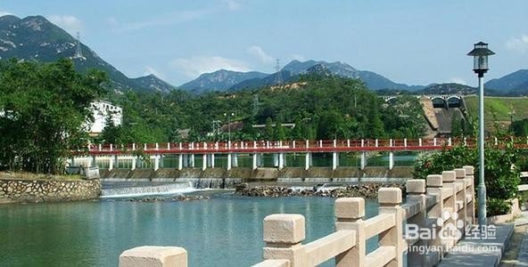 新会崖南海鲜攻略