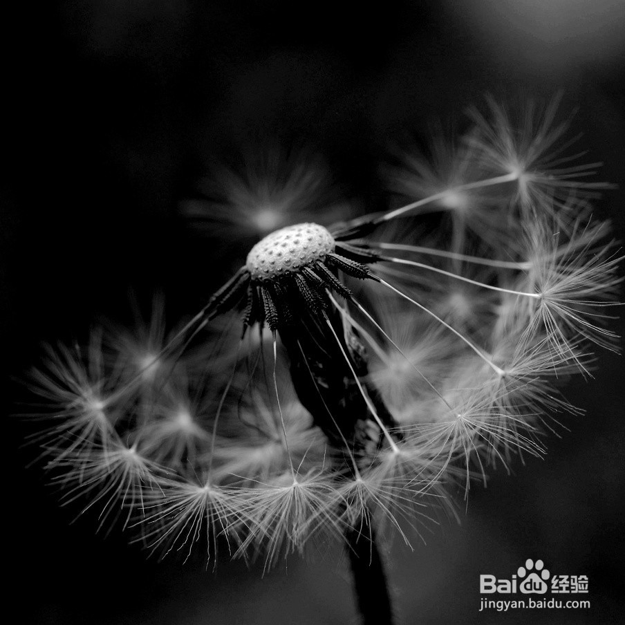 怎么样做一个成熟的人？