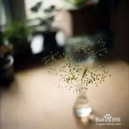 职场：宁愿装傻, 切莫聪明