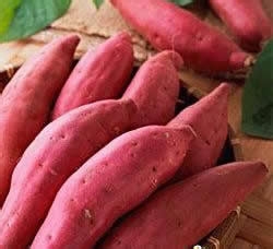 年轻人必须知道的71个做饭技巧