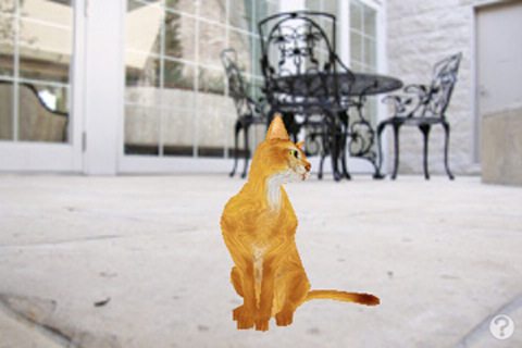 触摸式宠物猫逼真阿比西尼亚猫3D