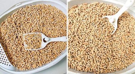 你家主子的猫砂选对了吗？