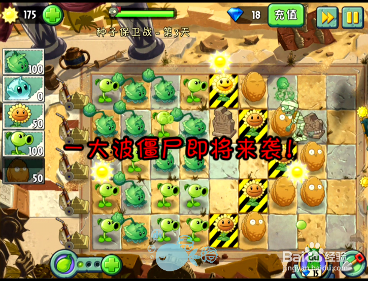 植物大战僵尸2攻略 神秘埃及 种子保卫战 第三天