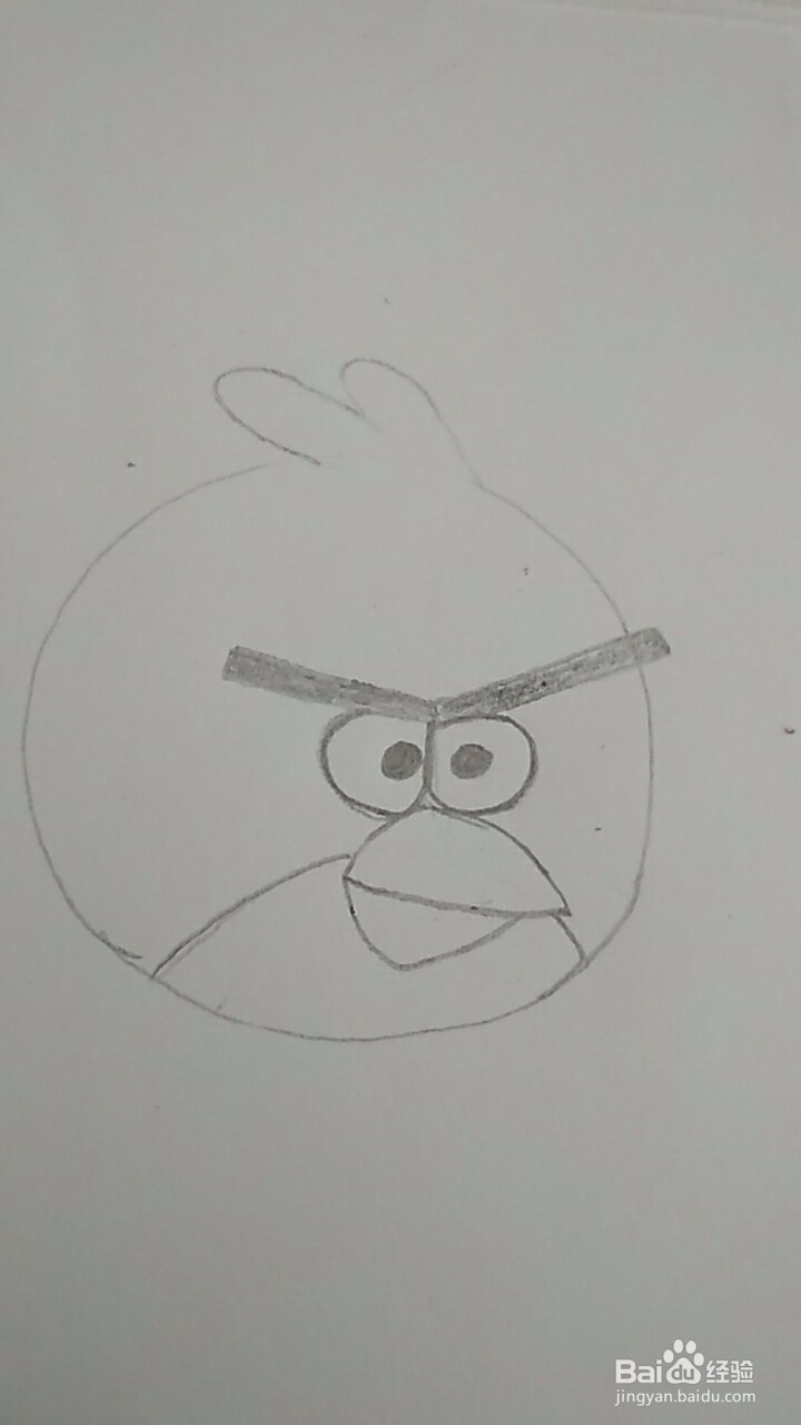 多妈简笔画愤怒的小鸟