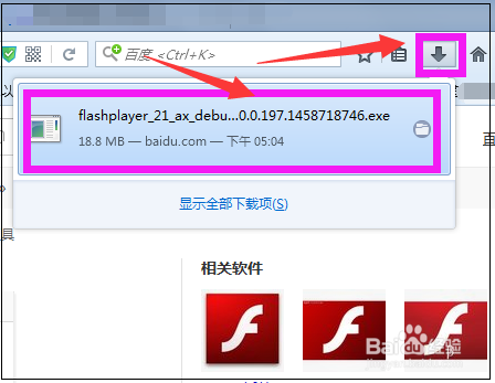 Failed to load the Adobe Flash Player怎么办