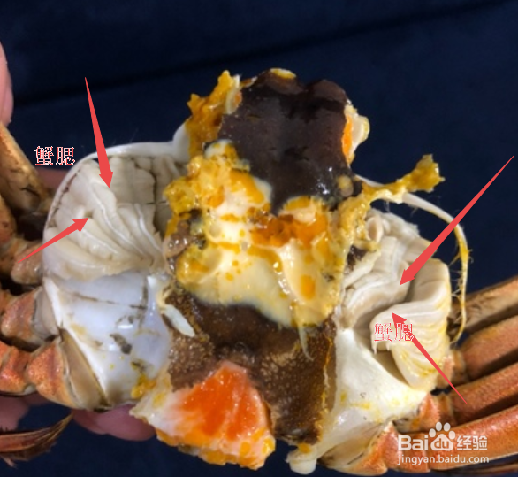 金秋吃蟹小贴士