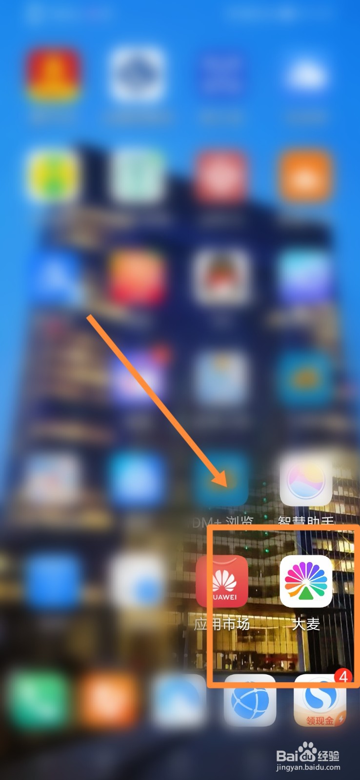 大麦APP怎么进行隐私设置