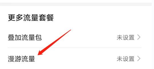 漫游流量数据在哪里可以设置？