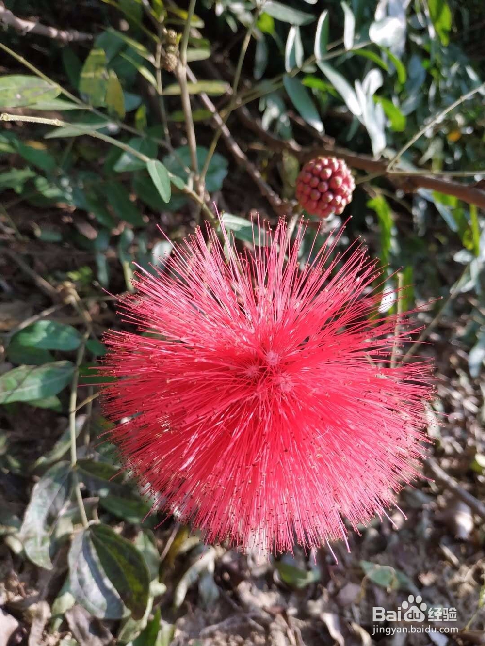 如何拍出好的相片？