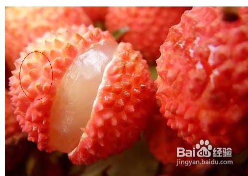 怎样挑选新鲜的荔枝