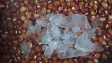 补气养生煮红豆怎么做