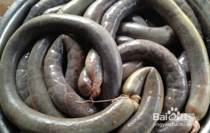 赤峰荞麦面猪血肠的做法