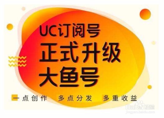 今日头条号,如何开通商品功能?