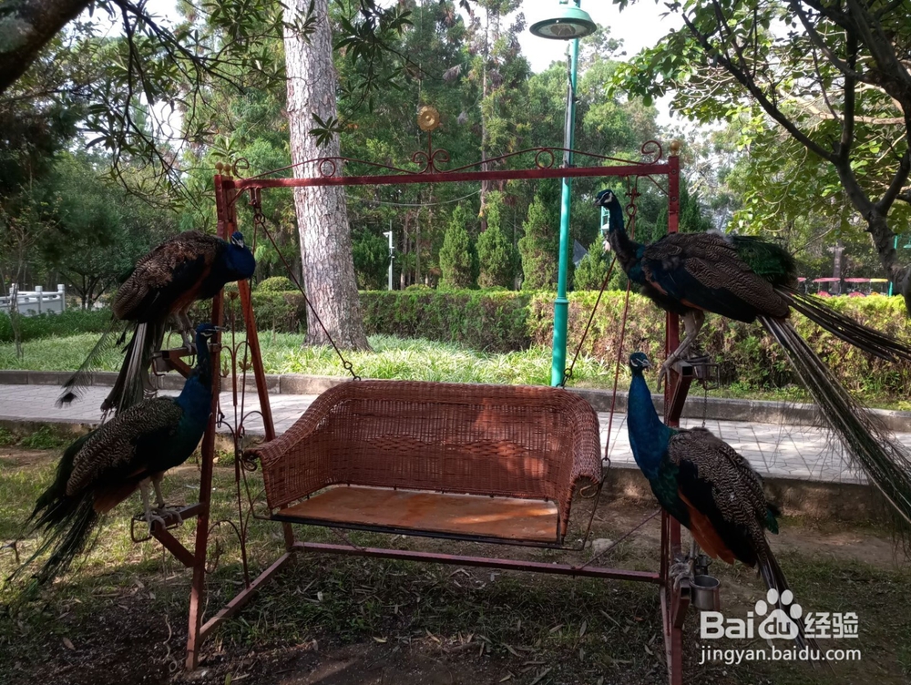 云南游之保山市太保山森林公园