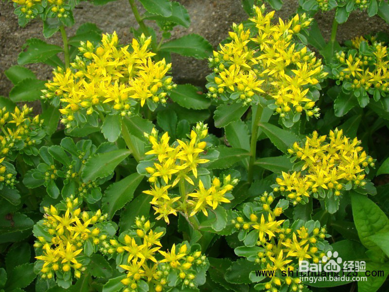 我们是不是生活的越来越好了？