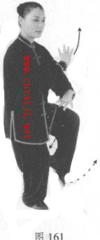 陈式太极白鹤亮翅图解