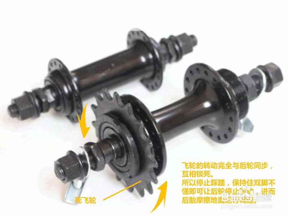 活飞轮、倒刹花鼓、死飞轮的区别