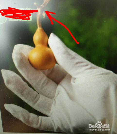 手捻葫芦怎么盘