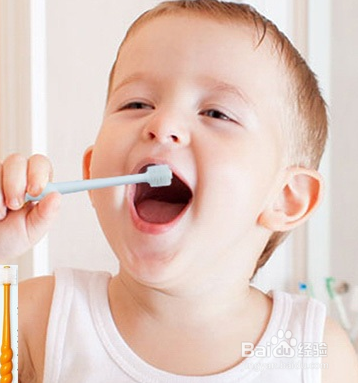 使用牙刷的小知识？