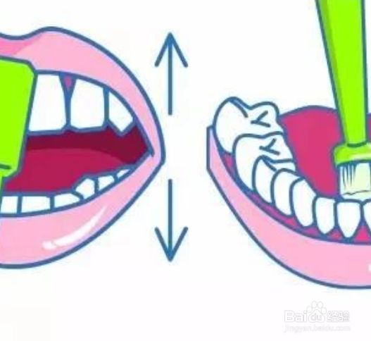 正确的刷牙方法