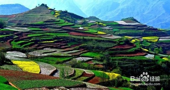 陇南三日游旅游攻略