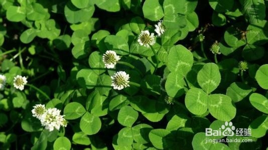 实物资产清查方法