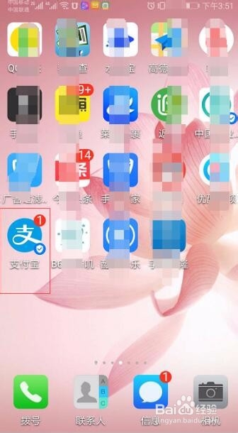 支付宝天天领红包为什么显示没有领到红包